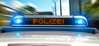 Die Jugendlichen versteckten sich und wurden von Polizeihunden aufgespürt.